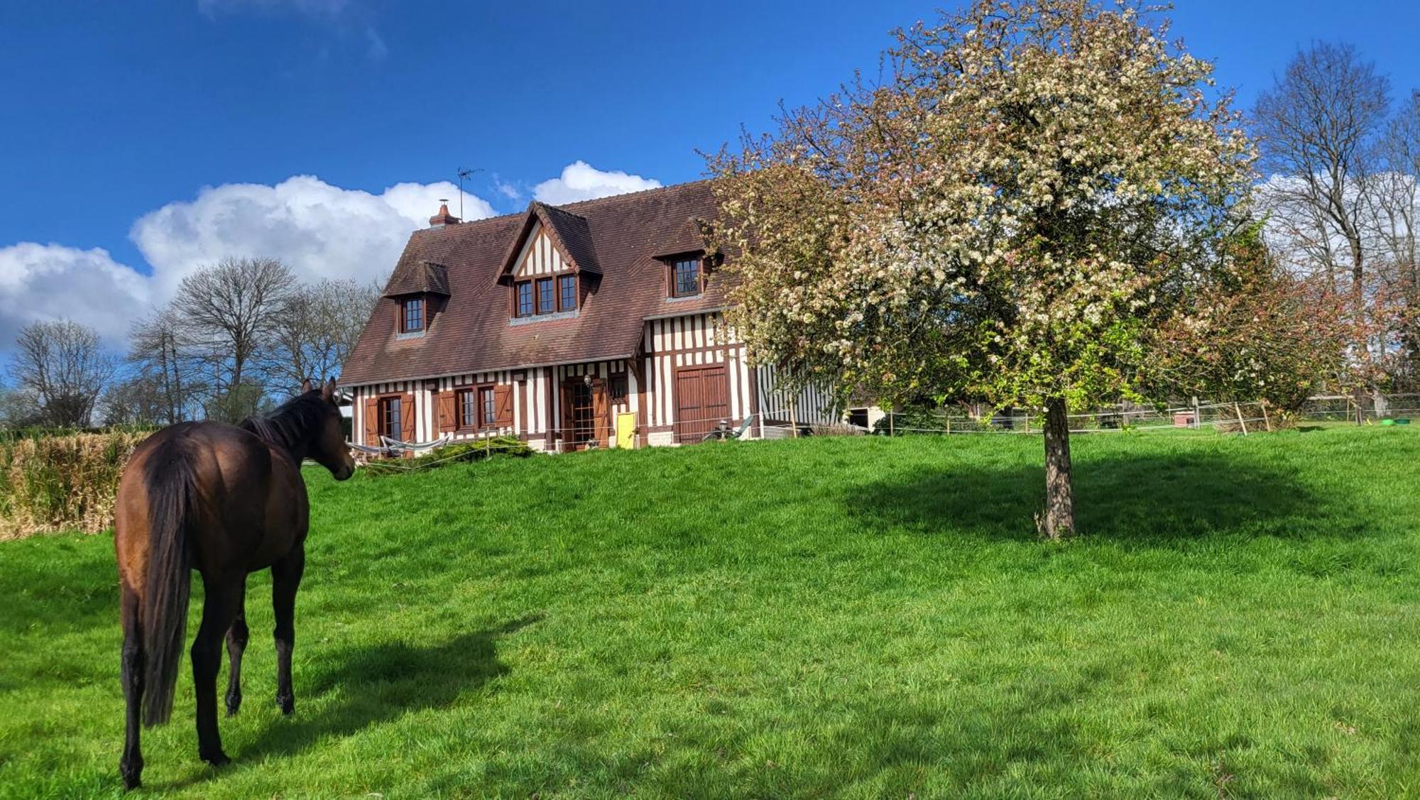 Relais Equestre Du Miloir - Chambres D'Hotes Saint-Desir Exterior photo